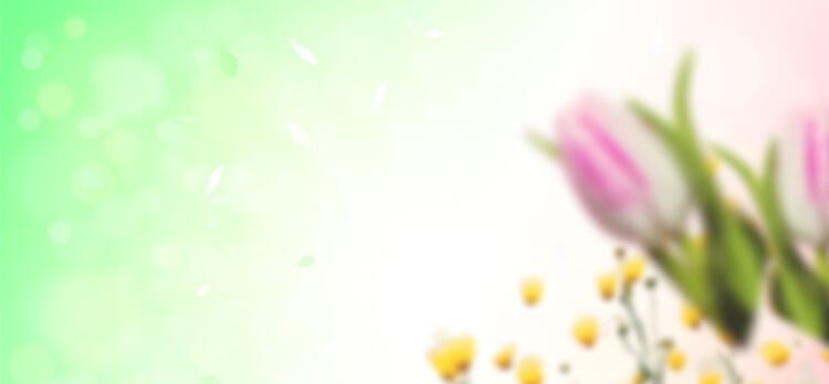 BOGO Promo Banner
